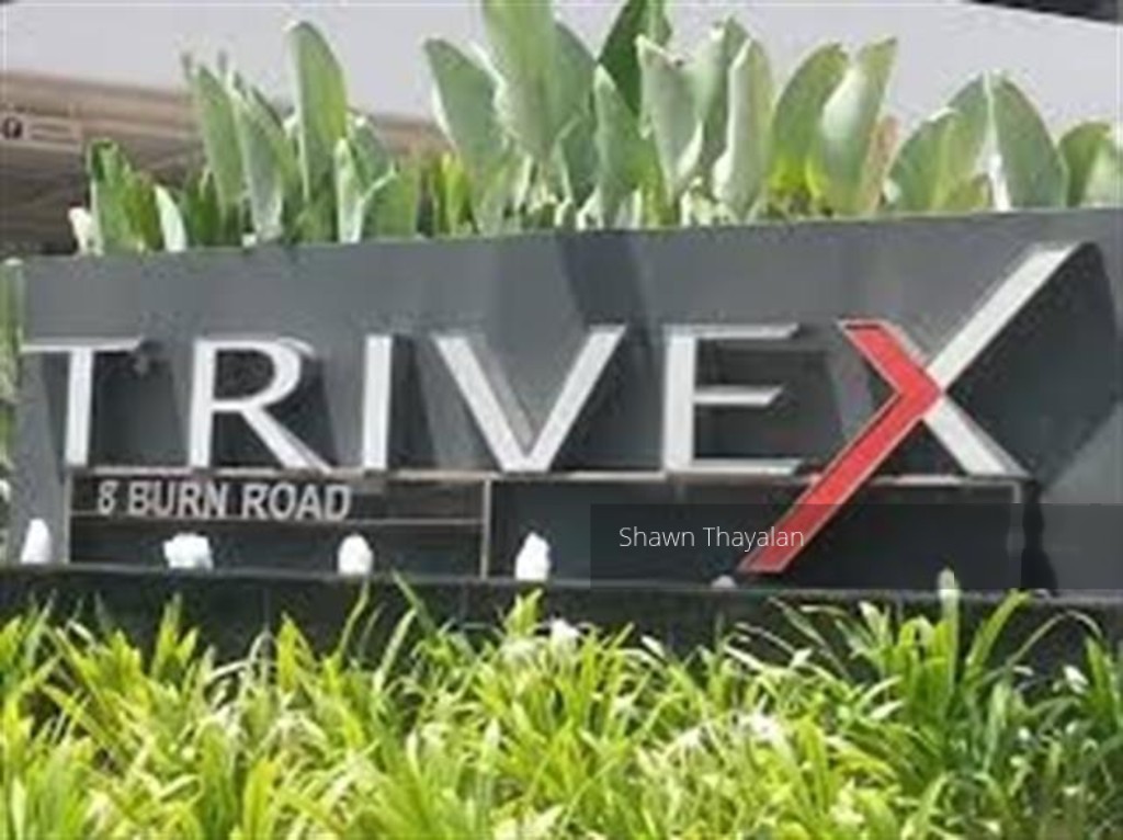 Trivex (D13), Factory #145433222